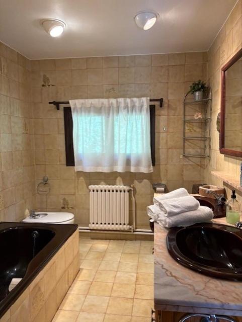 Family Room Bathroom